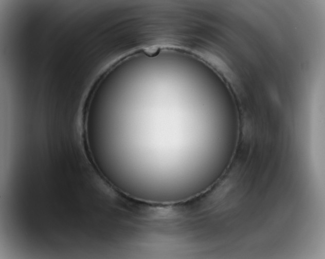 X0000089390990200706151219