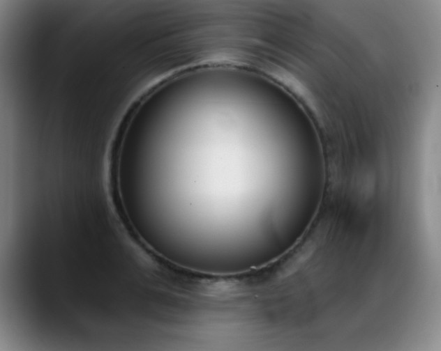 X0000089390991200706151219