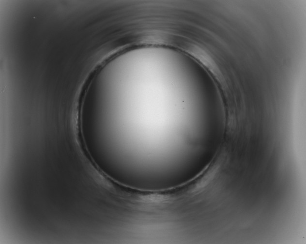 X0000089390992200706151219