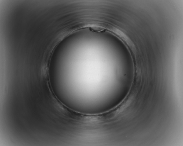 X0000089390993200706151219
