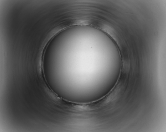 X0000089390994200706151219