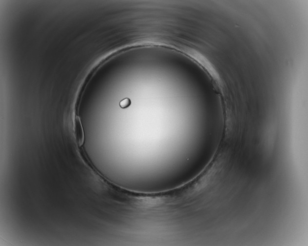 X0000089390996200706151219