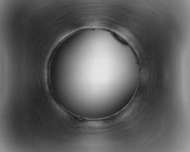 X0000089390998200706151219