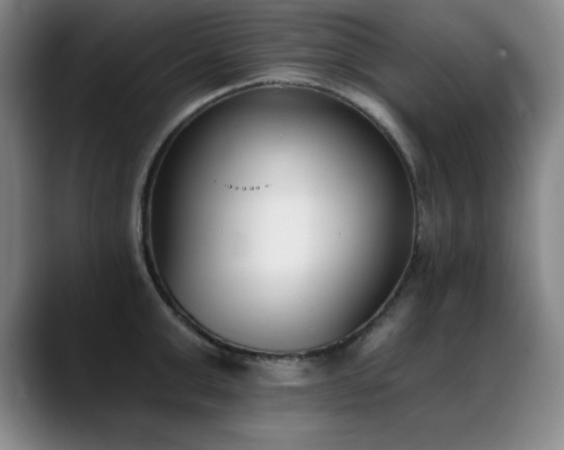 X0000089390999200706151219
