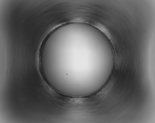 X0000089391000200706151219