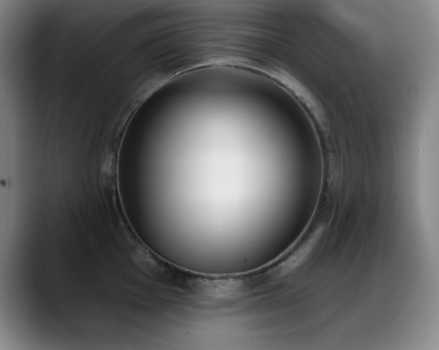 X0000089391001200706151219
