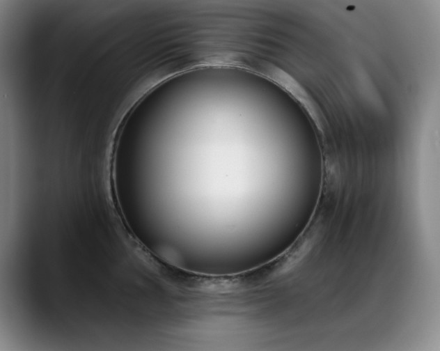 X0000089391002200706151219