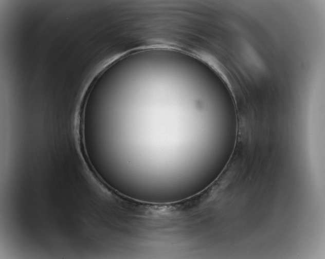 X0000089391003200706151219