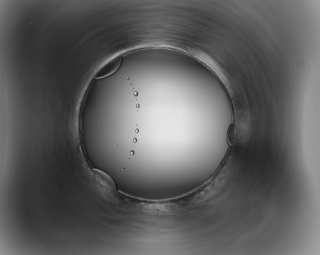 X0000089391004200706151219
