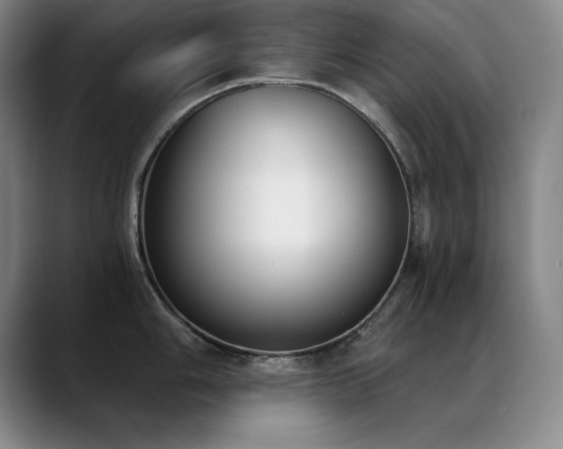 X0000089391006200706151219