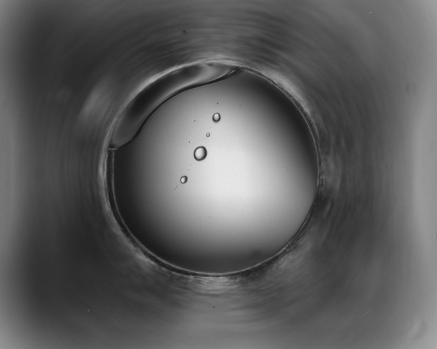 X0000089391007200706151219