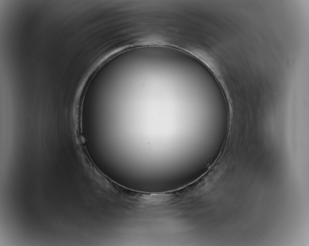 X0000089391008200706151219