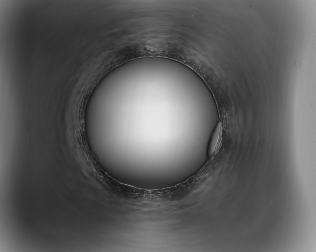 X0000089391009200706151218