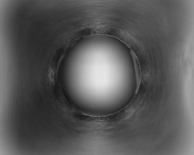 X0000089391010200706151218