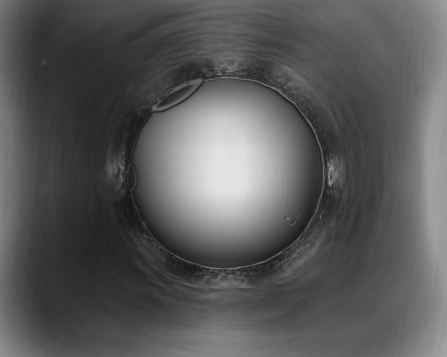 X0000089391011200706151218