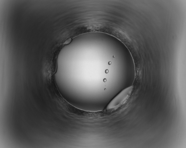 X0000089391012200706151218