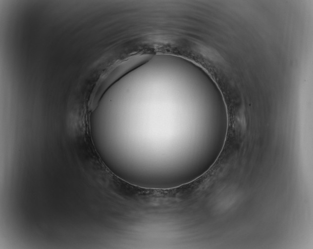 X0000089391014200706151218