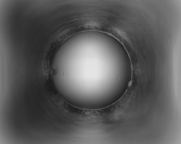 X0000089391015200706151218