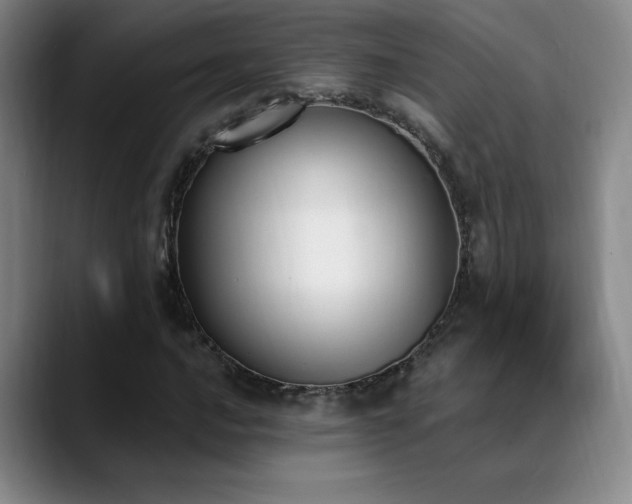 X0000089391016200706151218