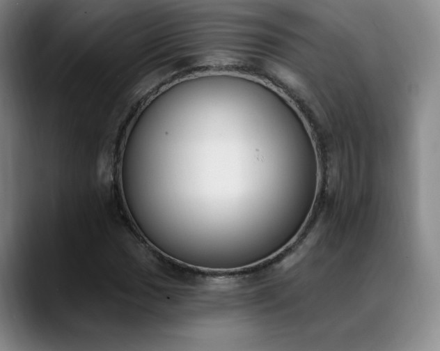 X0000089391017200706151218