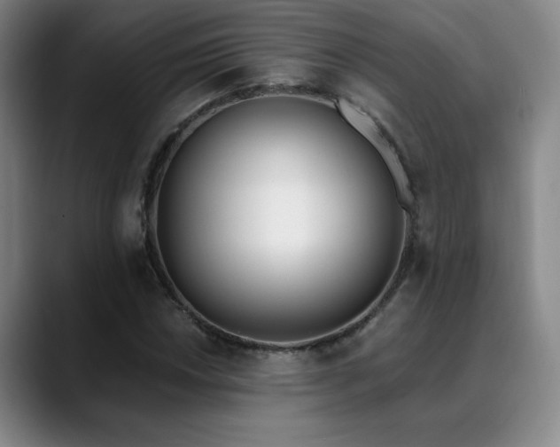 X0000089391018200706151218