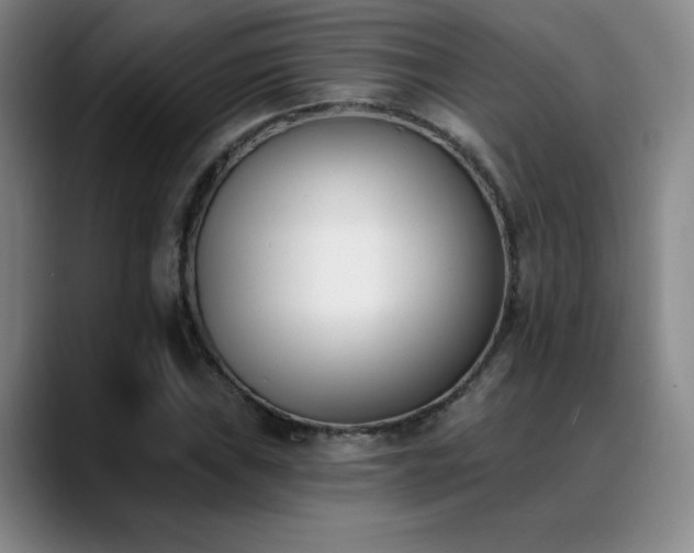 X0000089391019200706151218