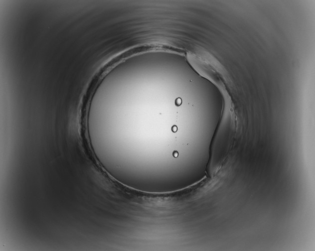 X0000089391020200706151218