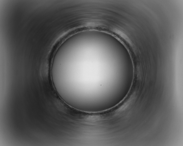 X0000089391021200706151218