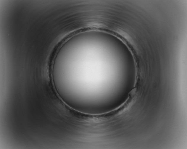 X0000089391022200706151218