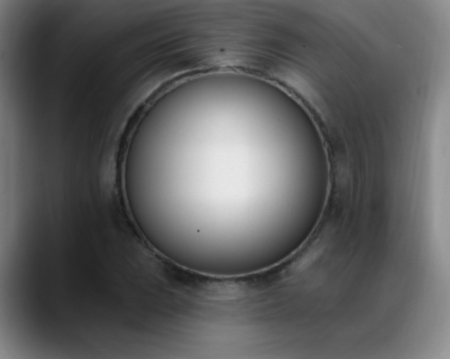 X0000089391023200706151218