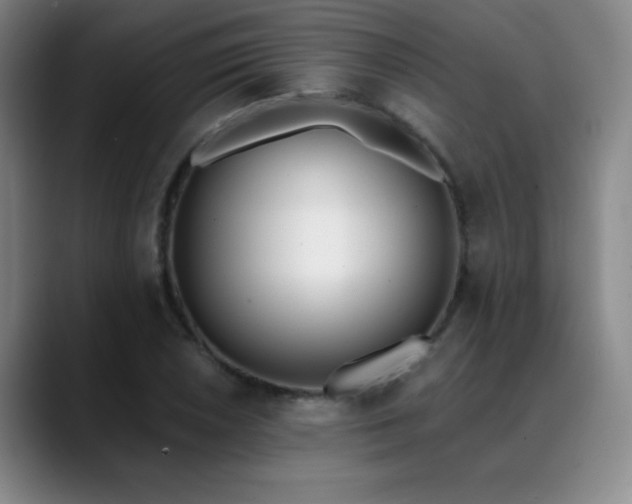 X0000089391026200706151218