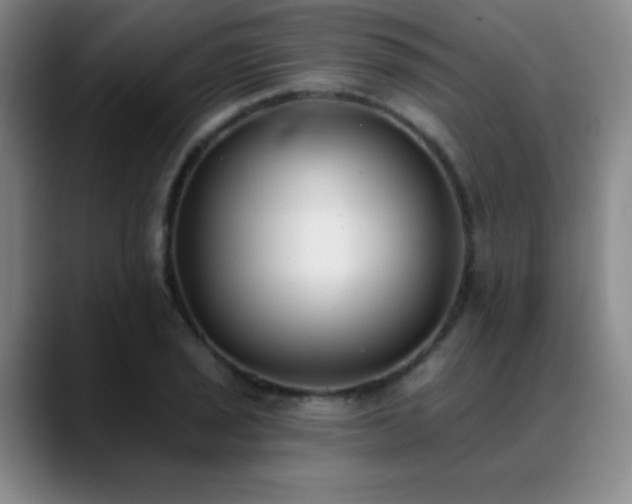 X0000089391029200706151218
