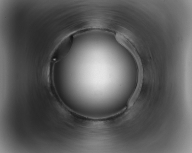 X0000089391030200706151218
