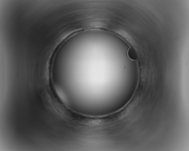 X0000089391031200706151218