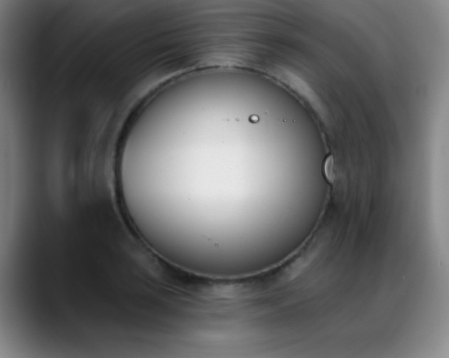 X0000089391035200706151218