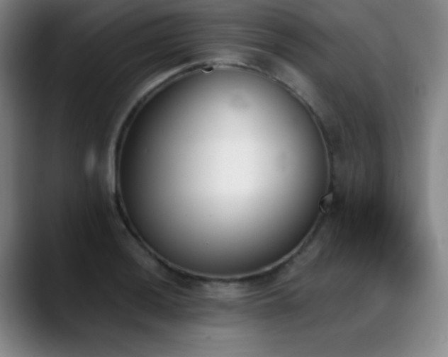 X0000089391036200706151218