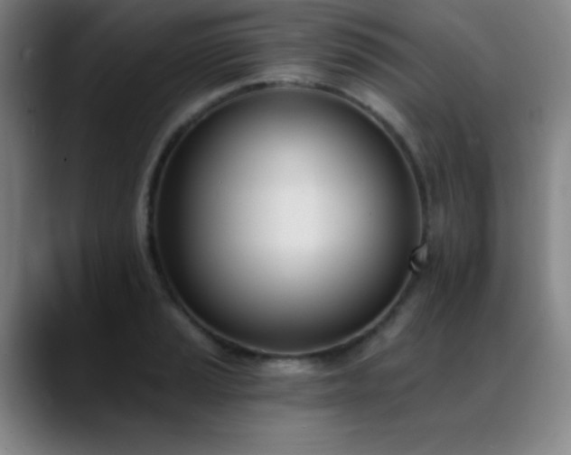 X0000089391037200706151218