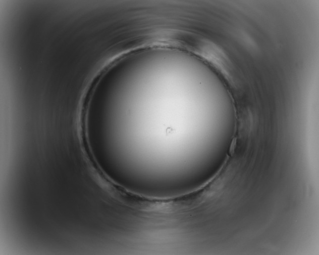 X0000089391038200706151218