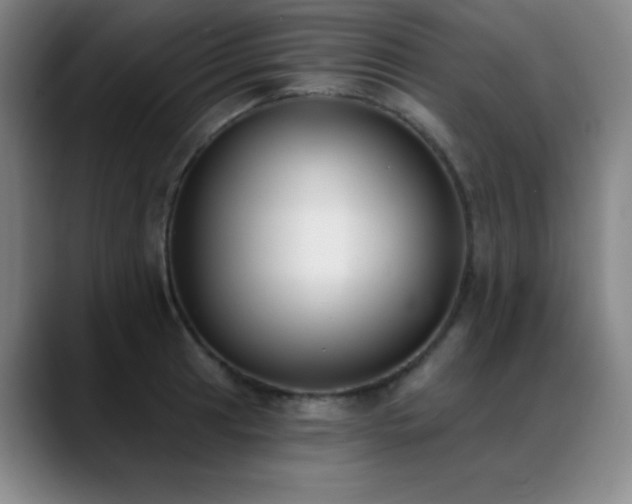 X0000089391041200706151218