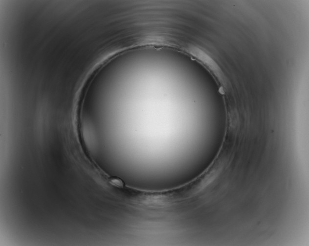 X0000089391043200706151218