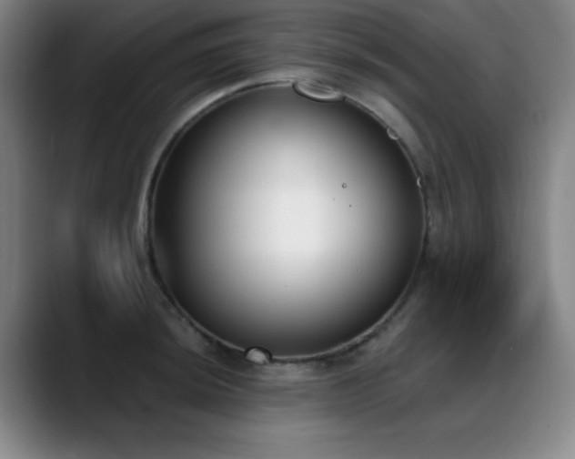 X0000089391044200706151218