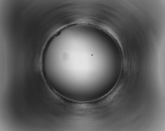 X0000089391045200706151218
