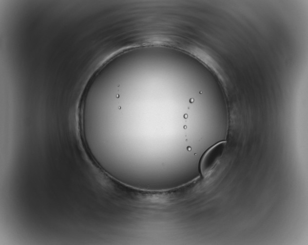 X0000089391047200706151219