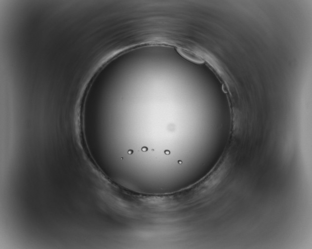 X0000089391048200706151219