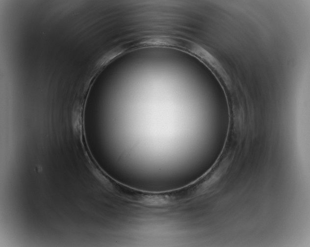 X0000089391049200706151219