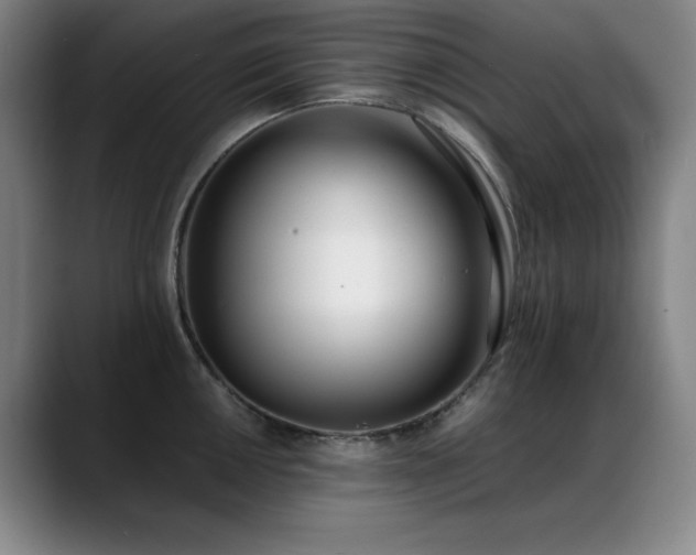 X0000089391050200706151219