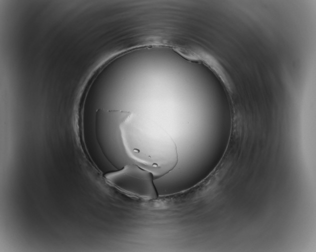 X0000089391051200706151219