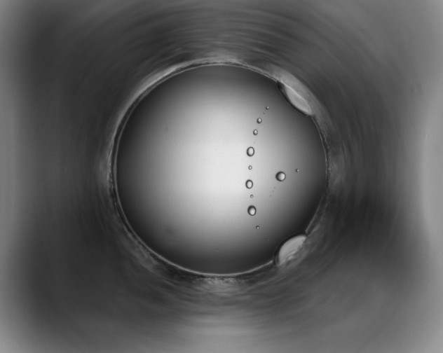 X0000089391052200706151219