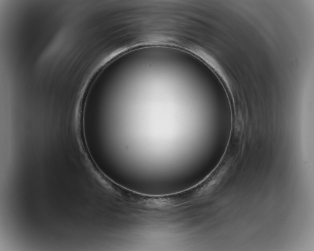 X0000089391053200706151219