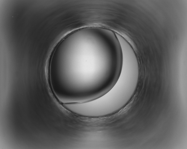 X0000089391054200706151219